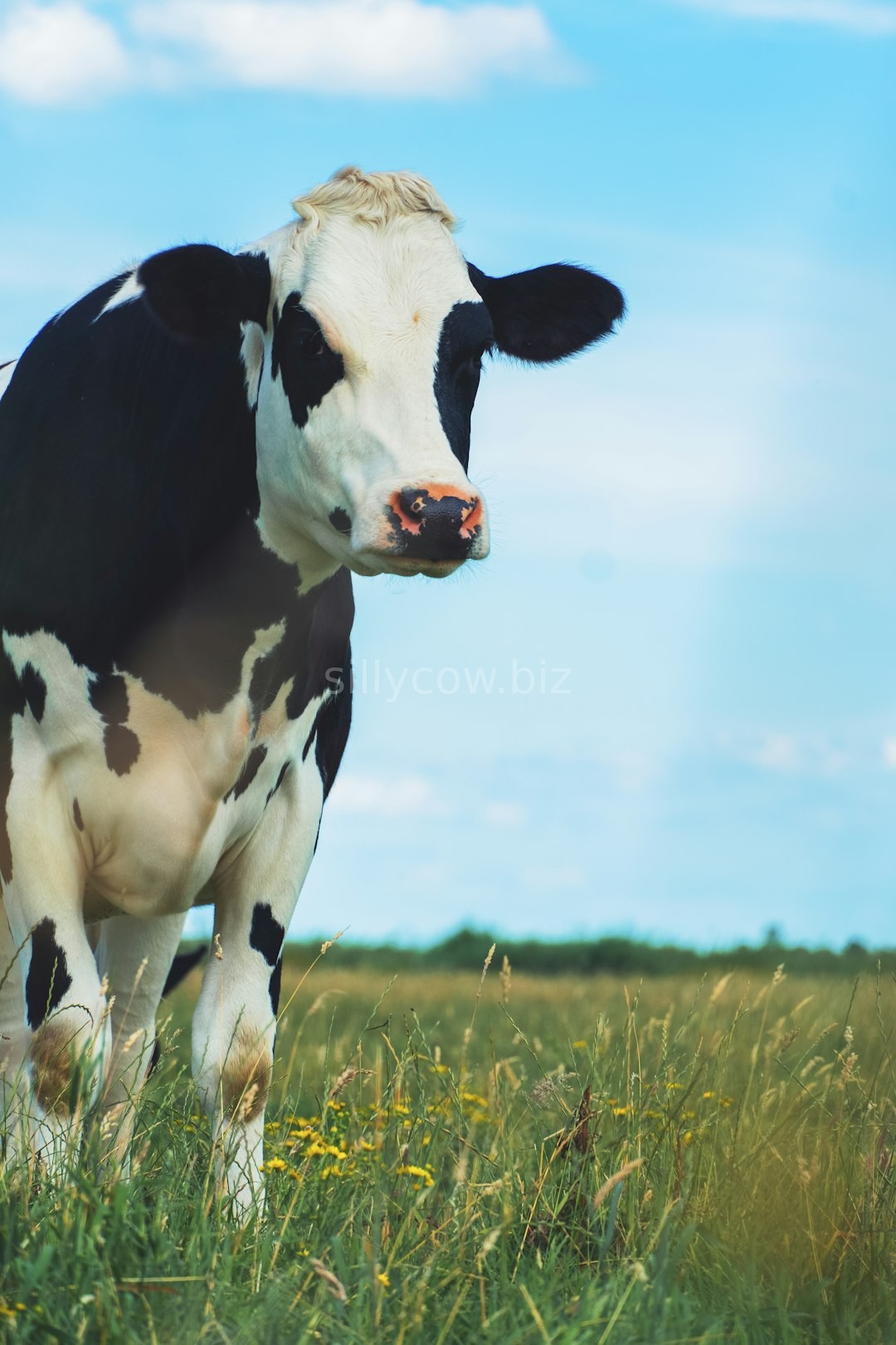 Reel 3