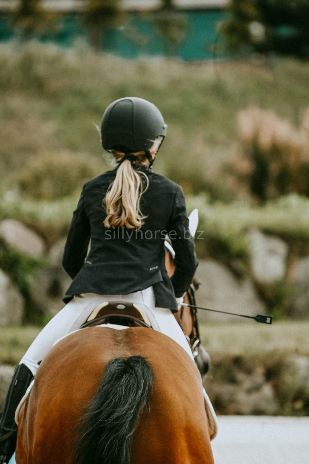 Equestrian Hero