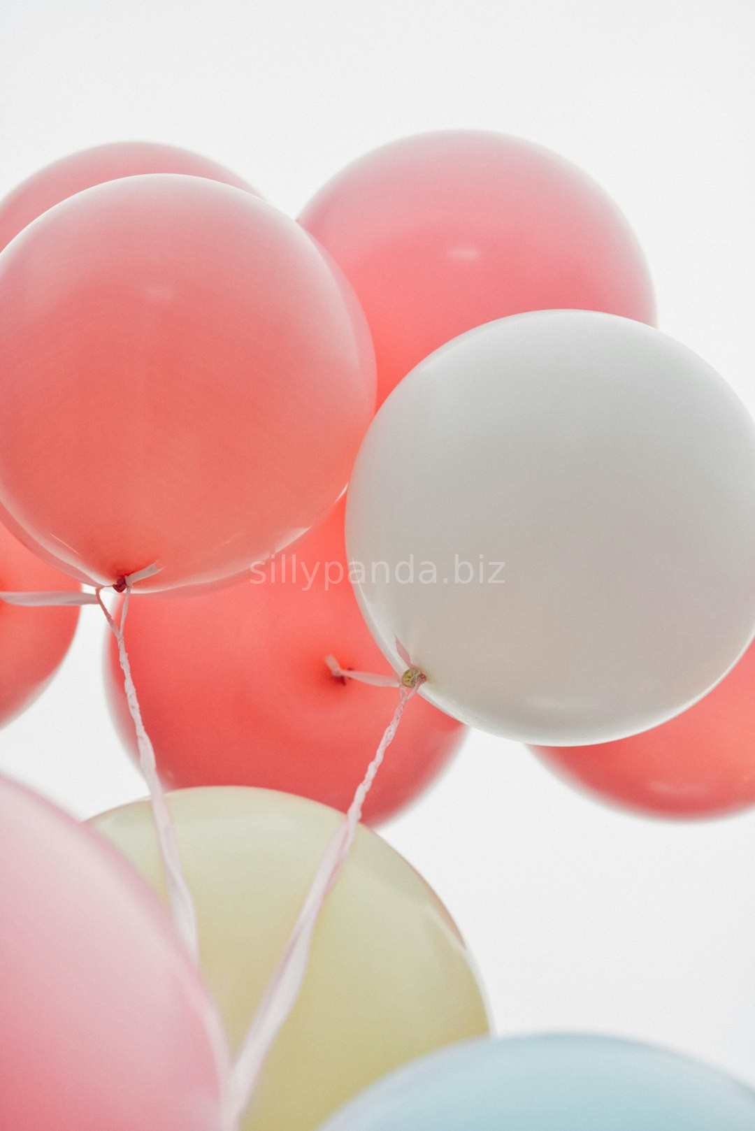 Balloon Detail