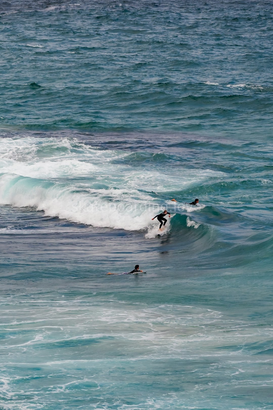 Reel 1