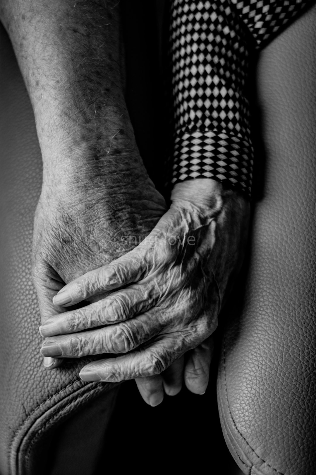 Companion Care