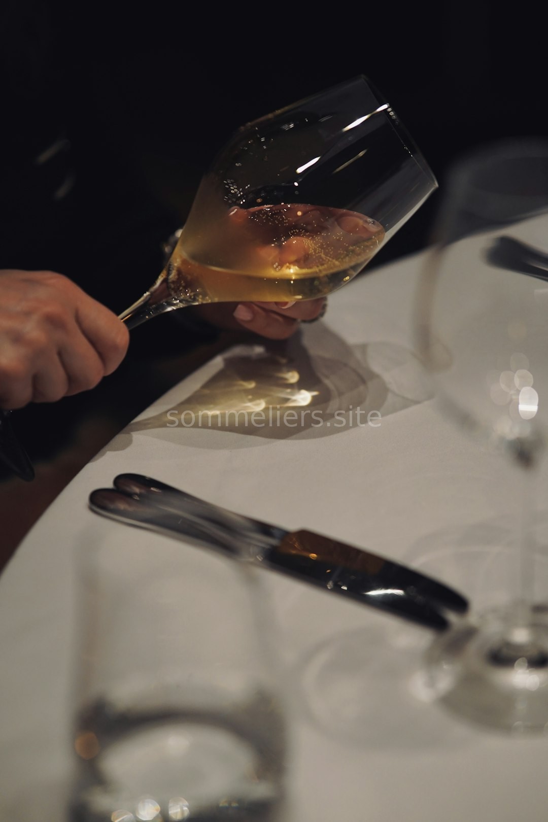 Wine Tasting