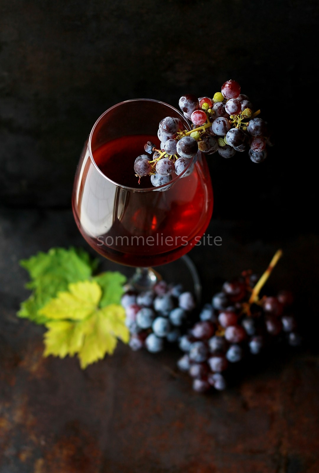 Cellar Curation