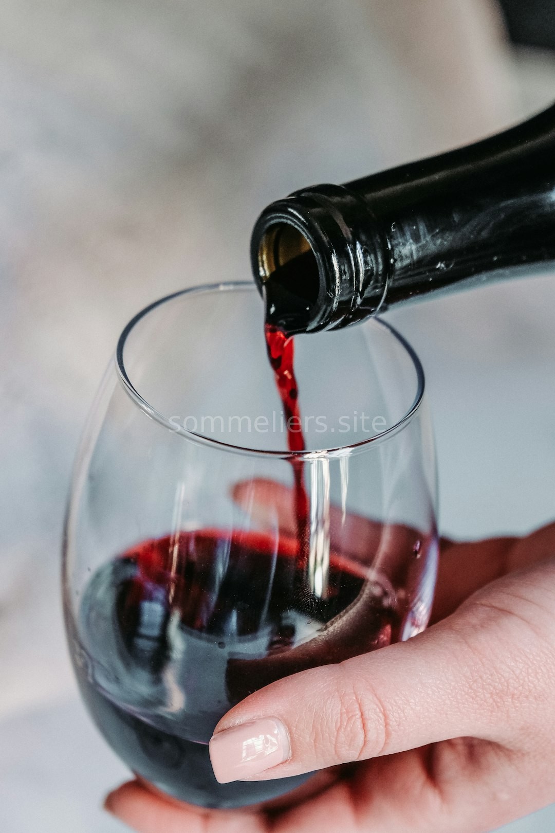 Sommelier Guidance