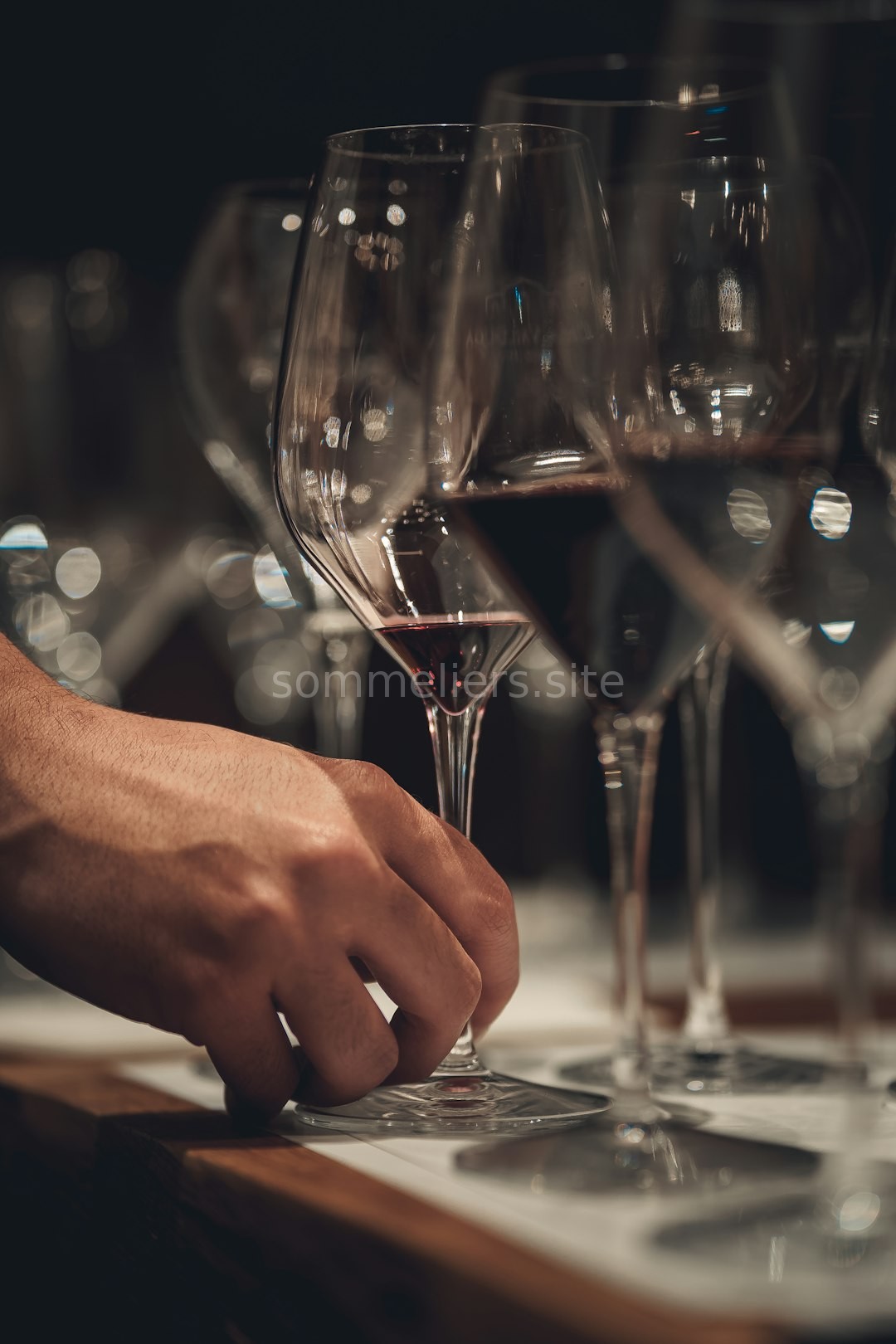 Cellar Audit