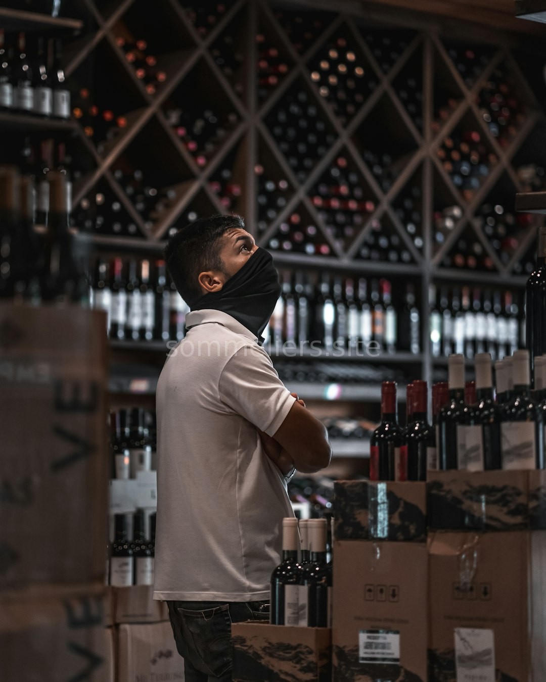 Curated Cellars