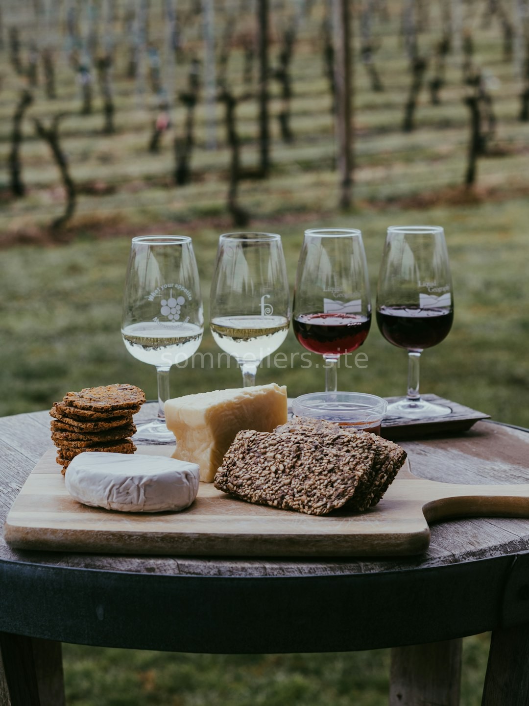 Vineyard