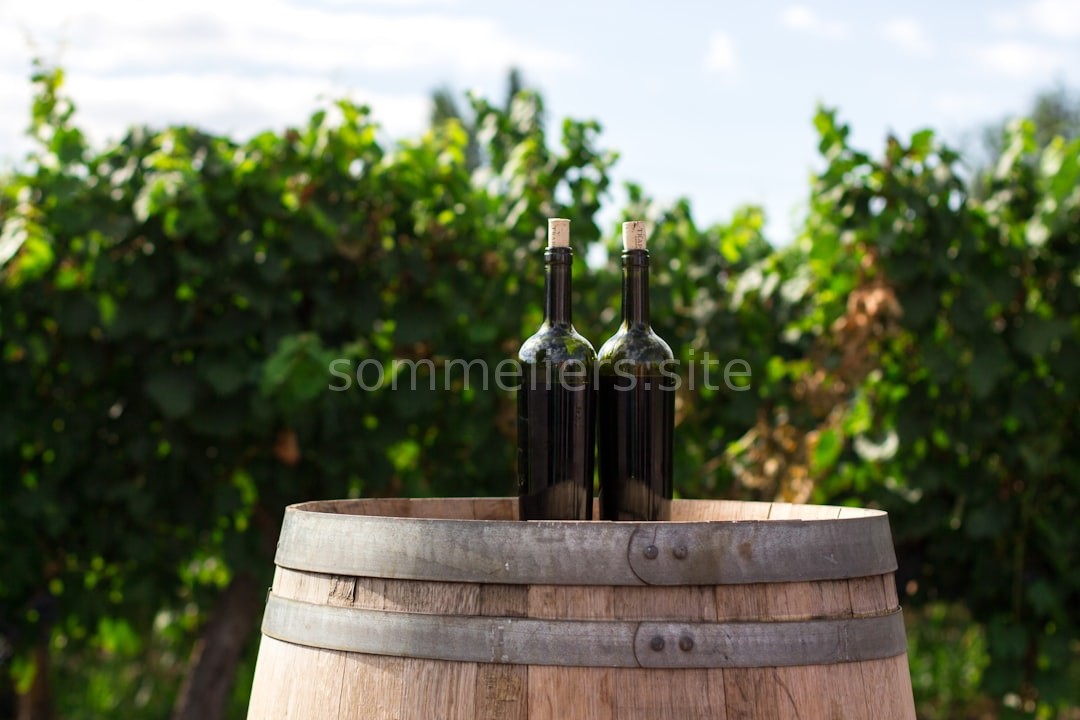 Vineyard