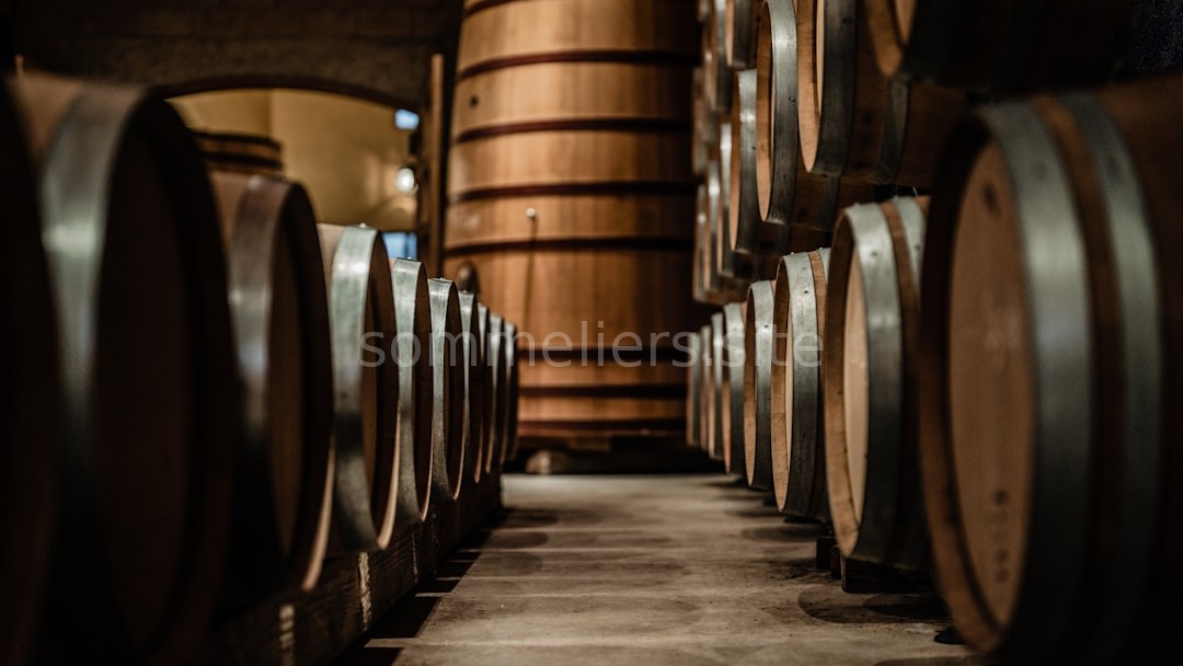 Cellar