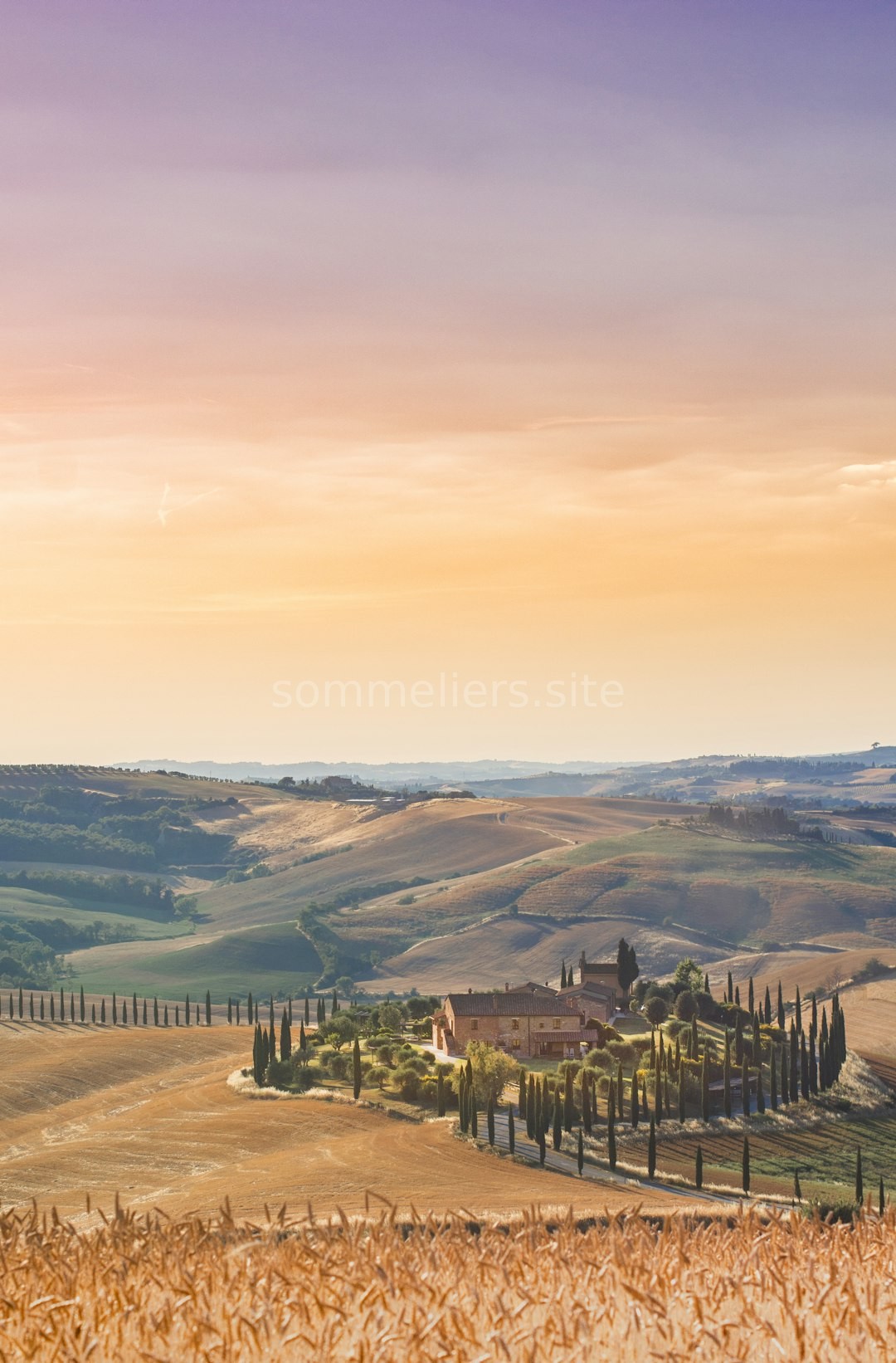 Gallery 2