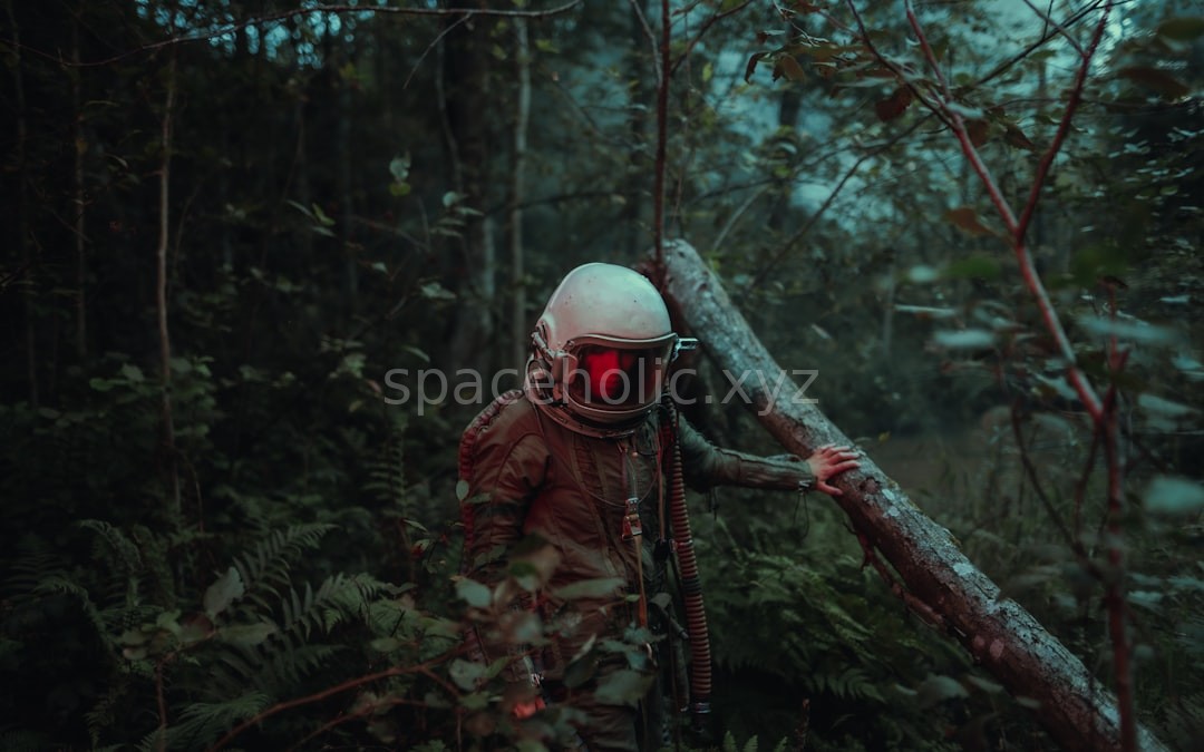 Galactic Reel 2