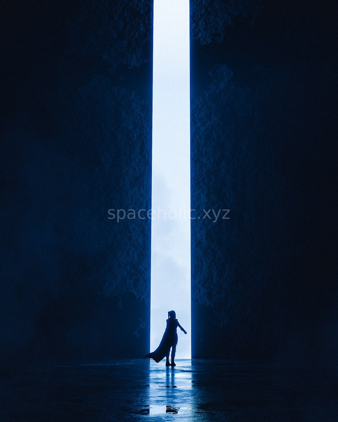 Void Shields