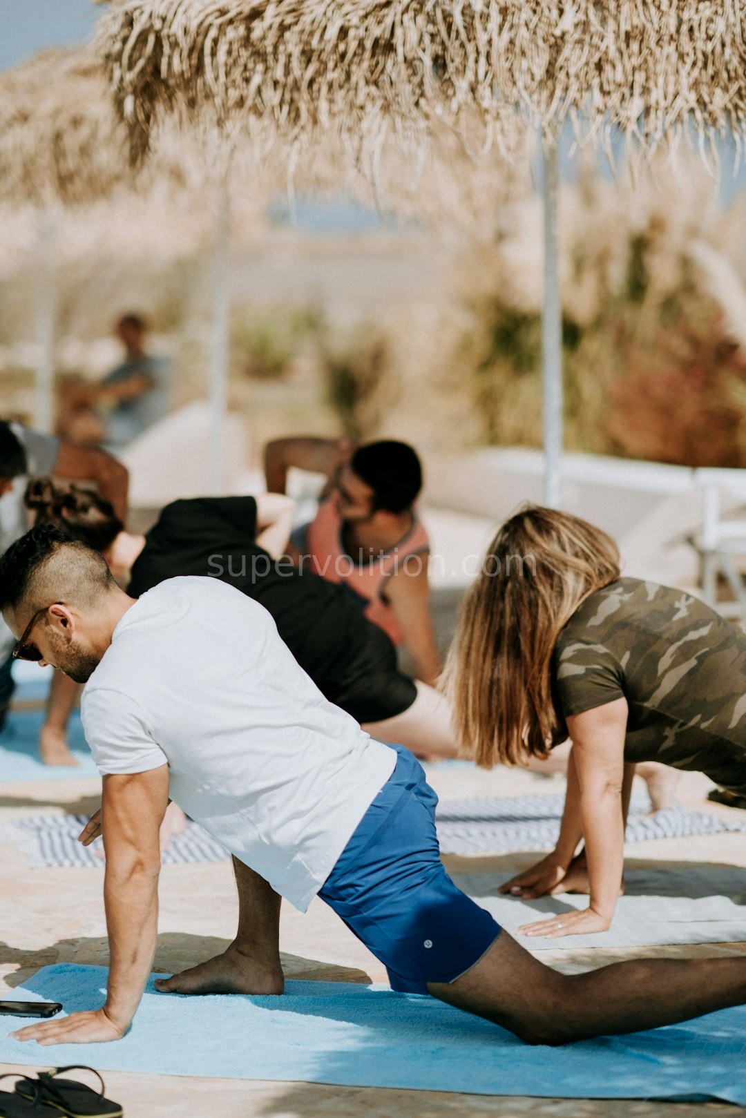 Wellness