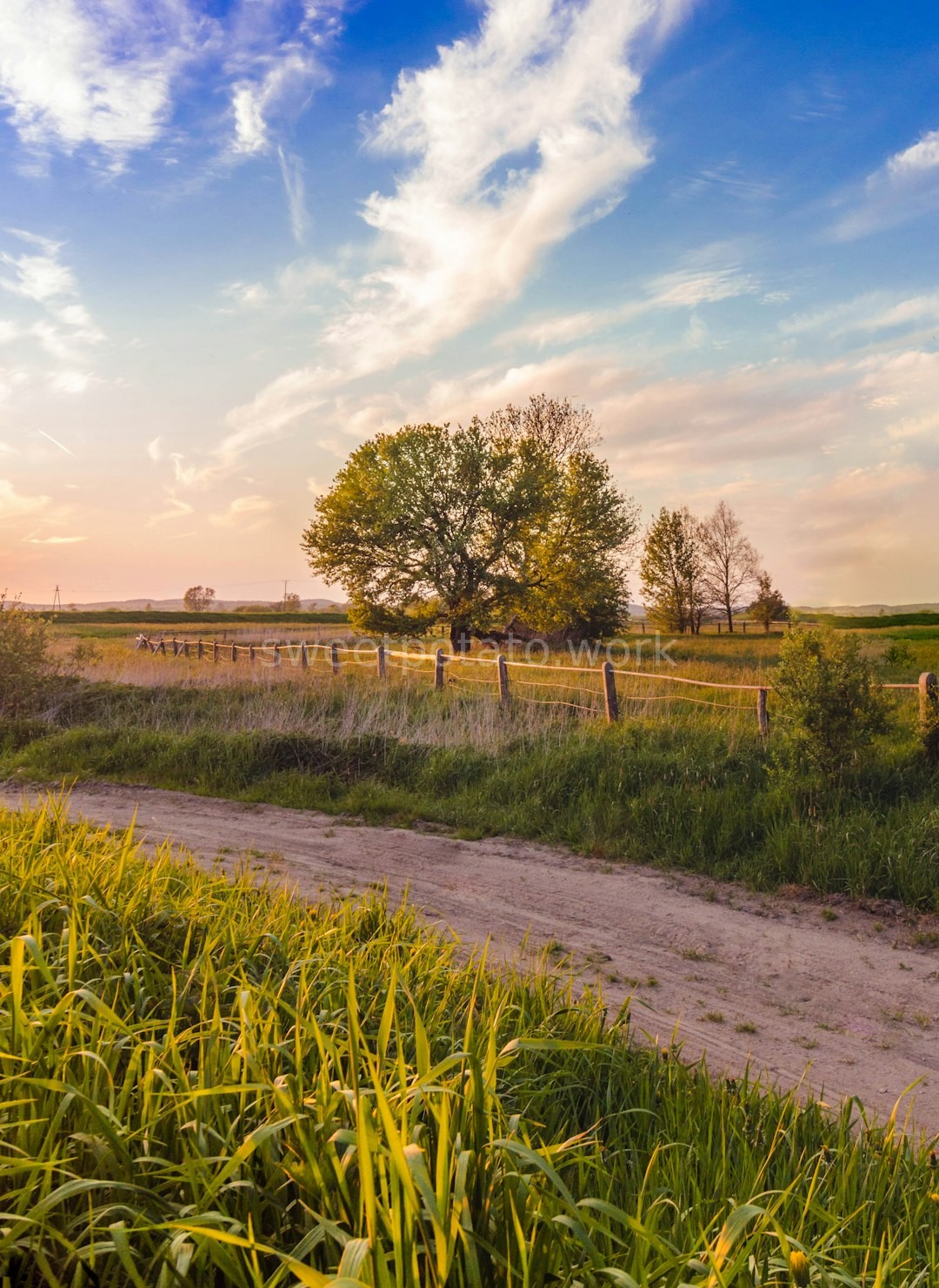 Farm View