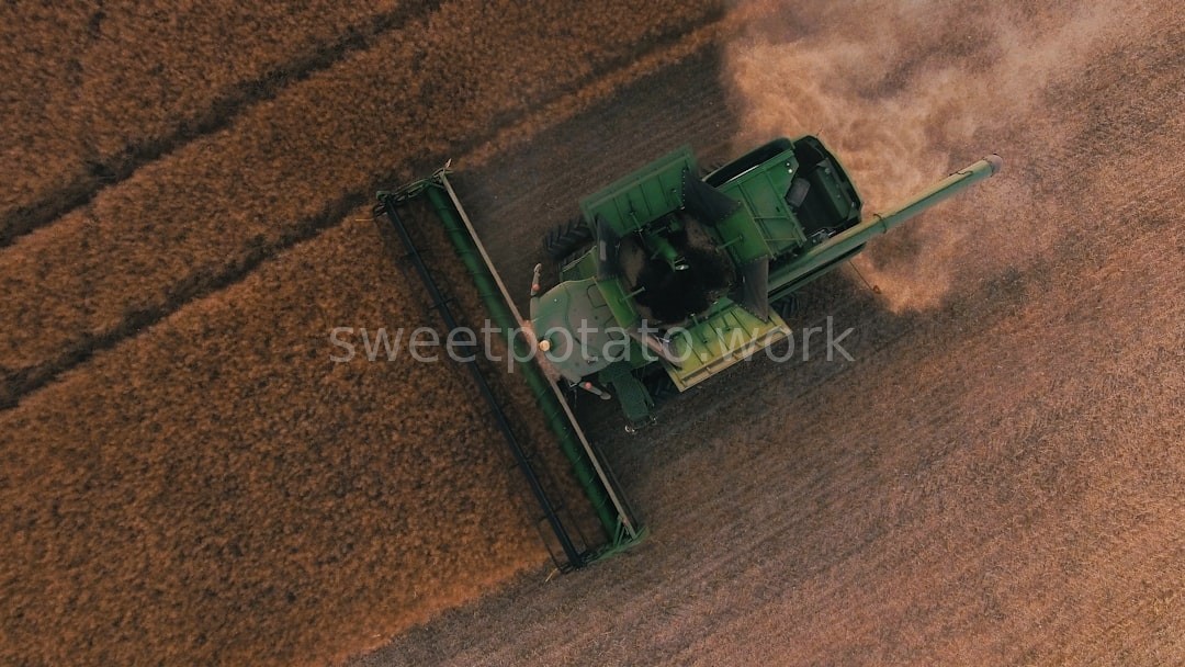 Farm Reel 1