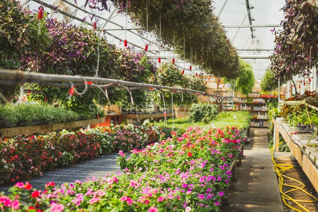 Seasonal Planning