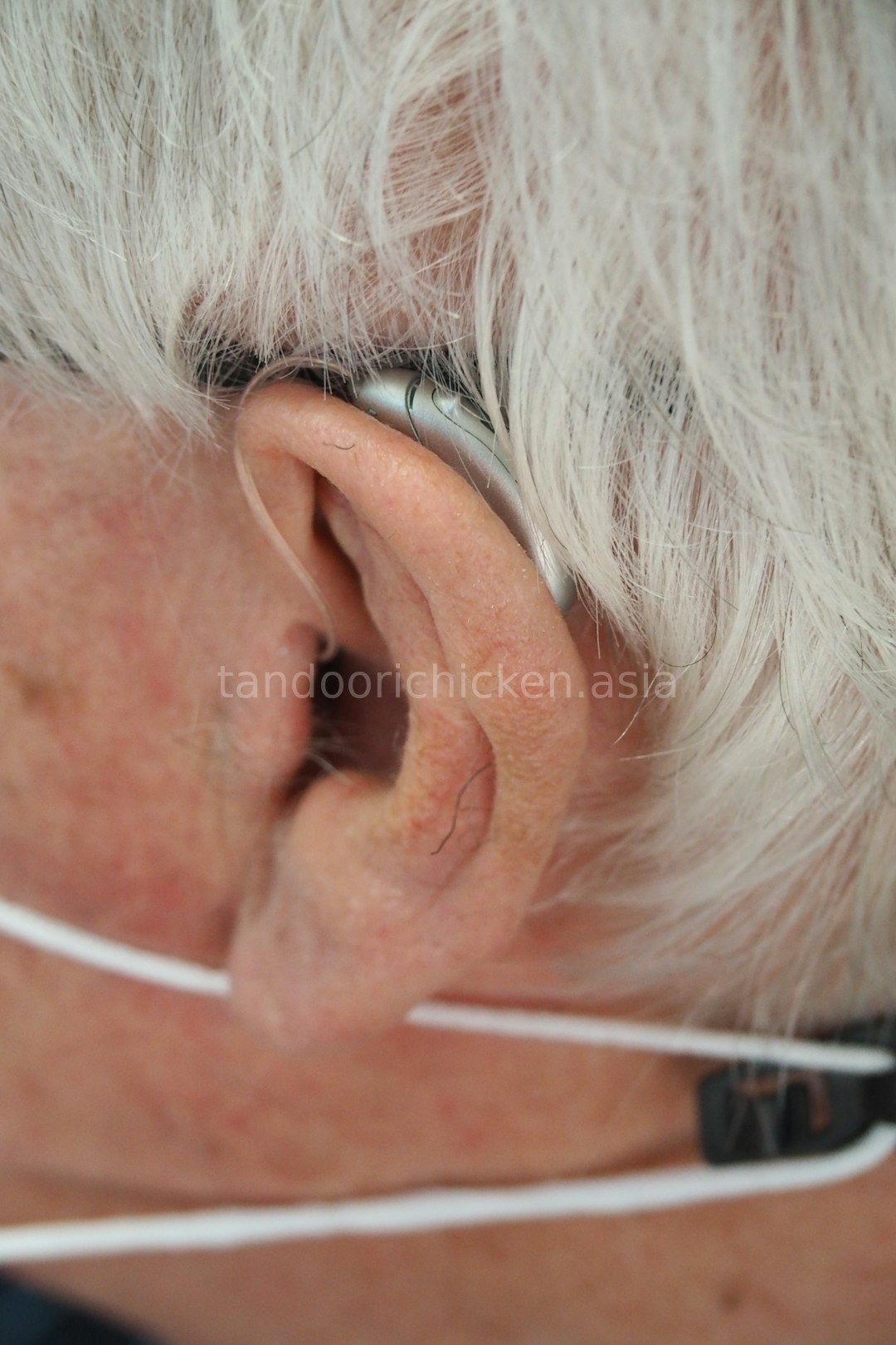 Hearing Aids