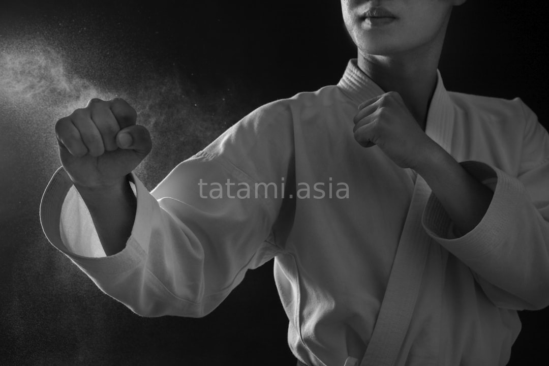 Martial Arts Mastery
