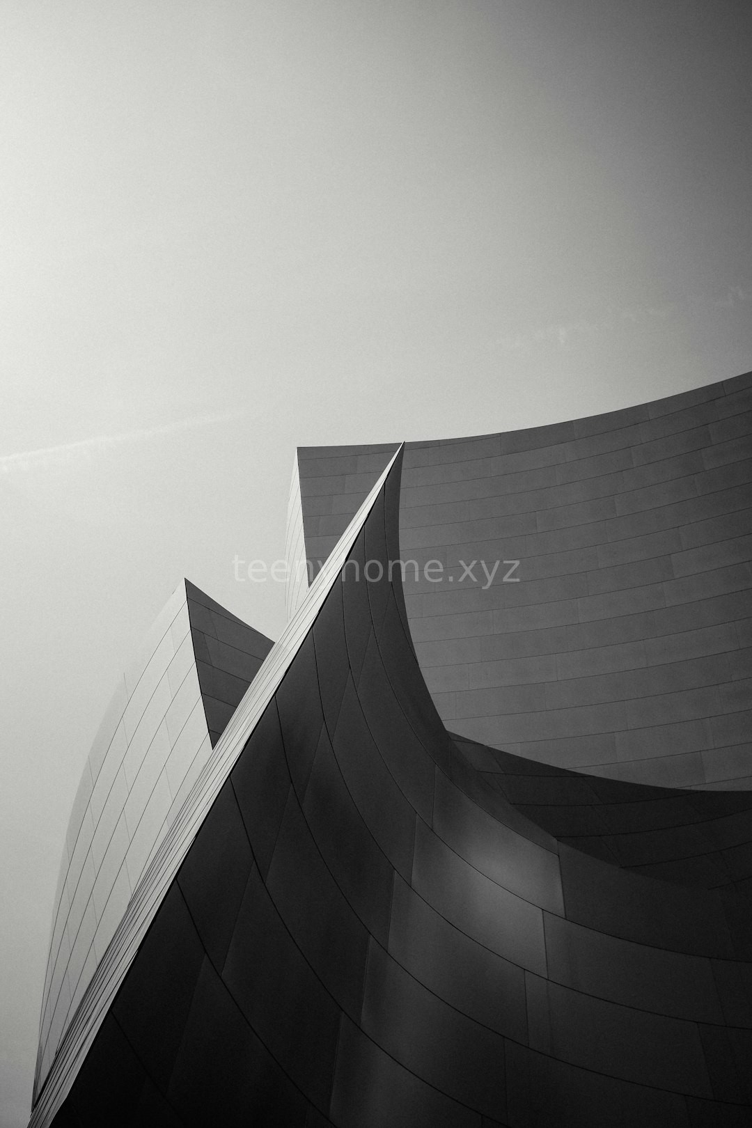 Reel 4