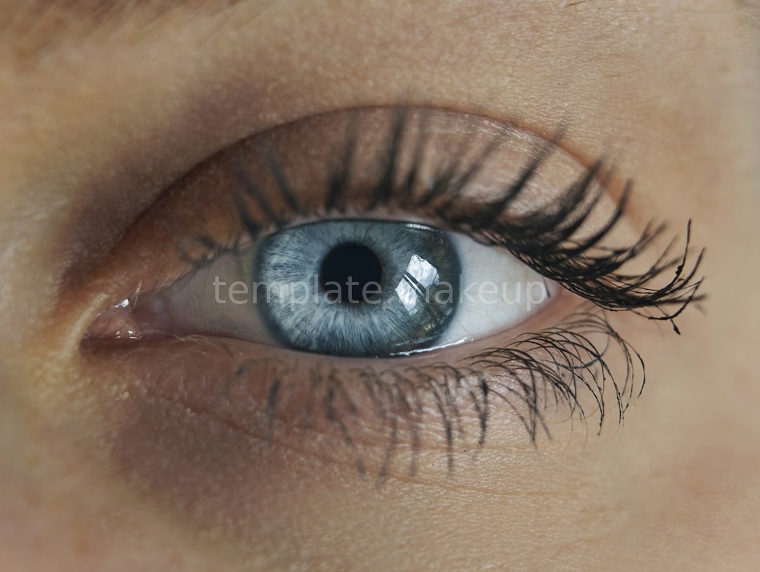 Volume Lashes