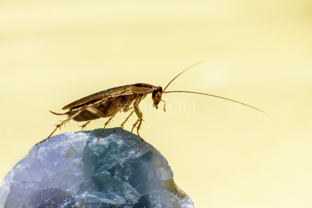 Prevention