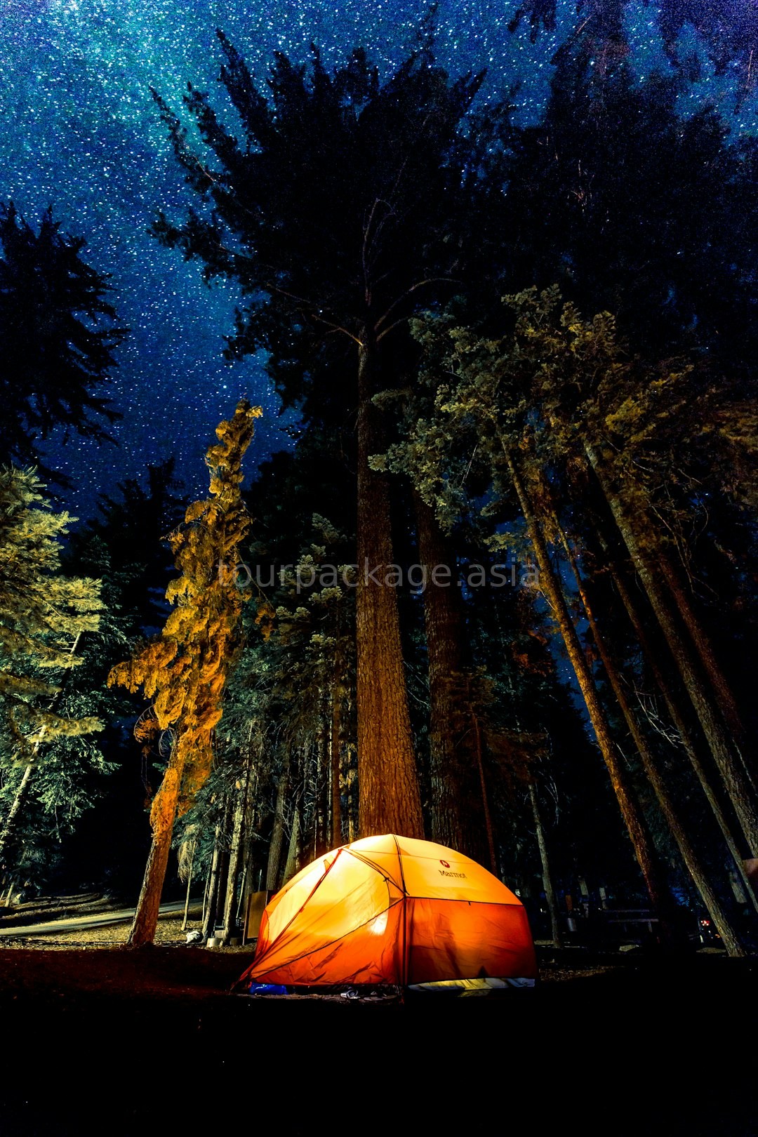 Guided Trekking