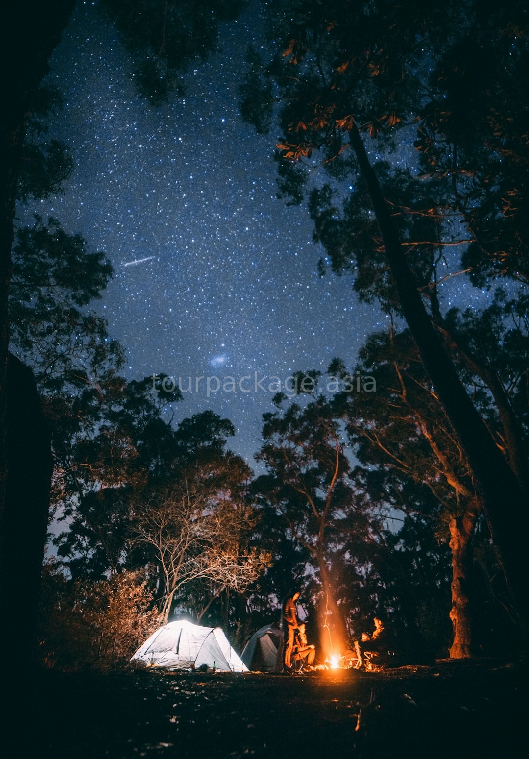 Camping Wilderness