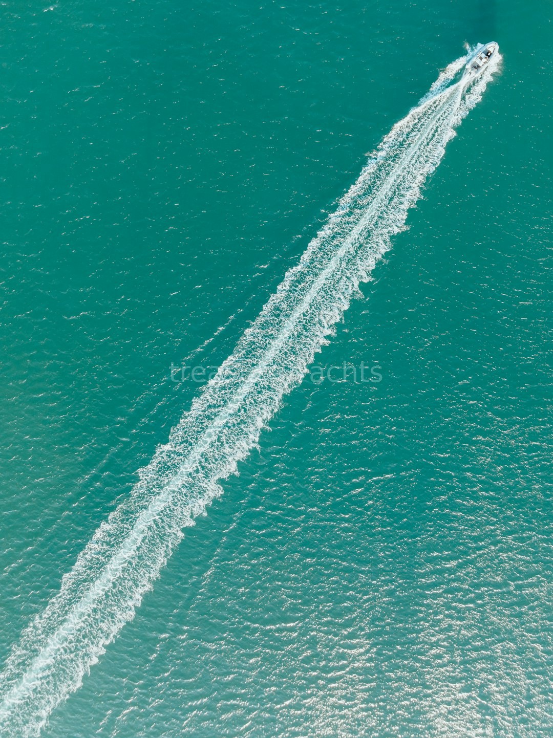 Vessel Management