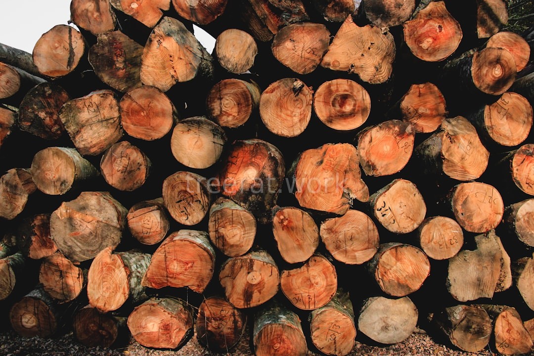 Pruning