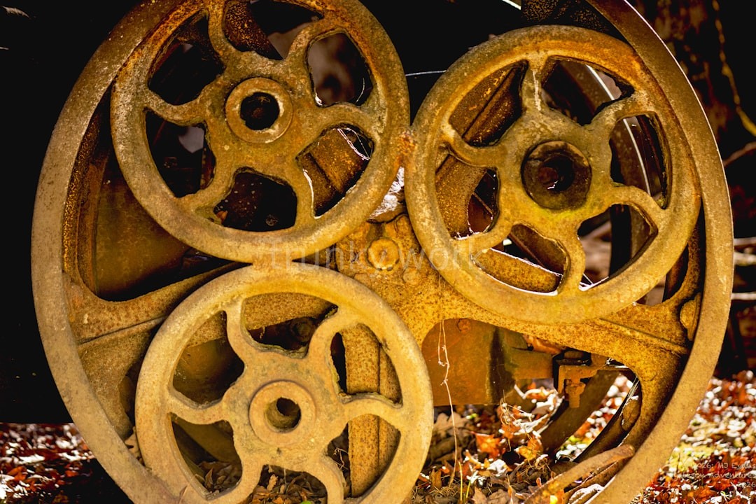 Reel 1