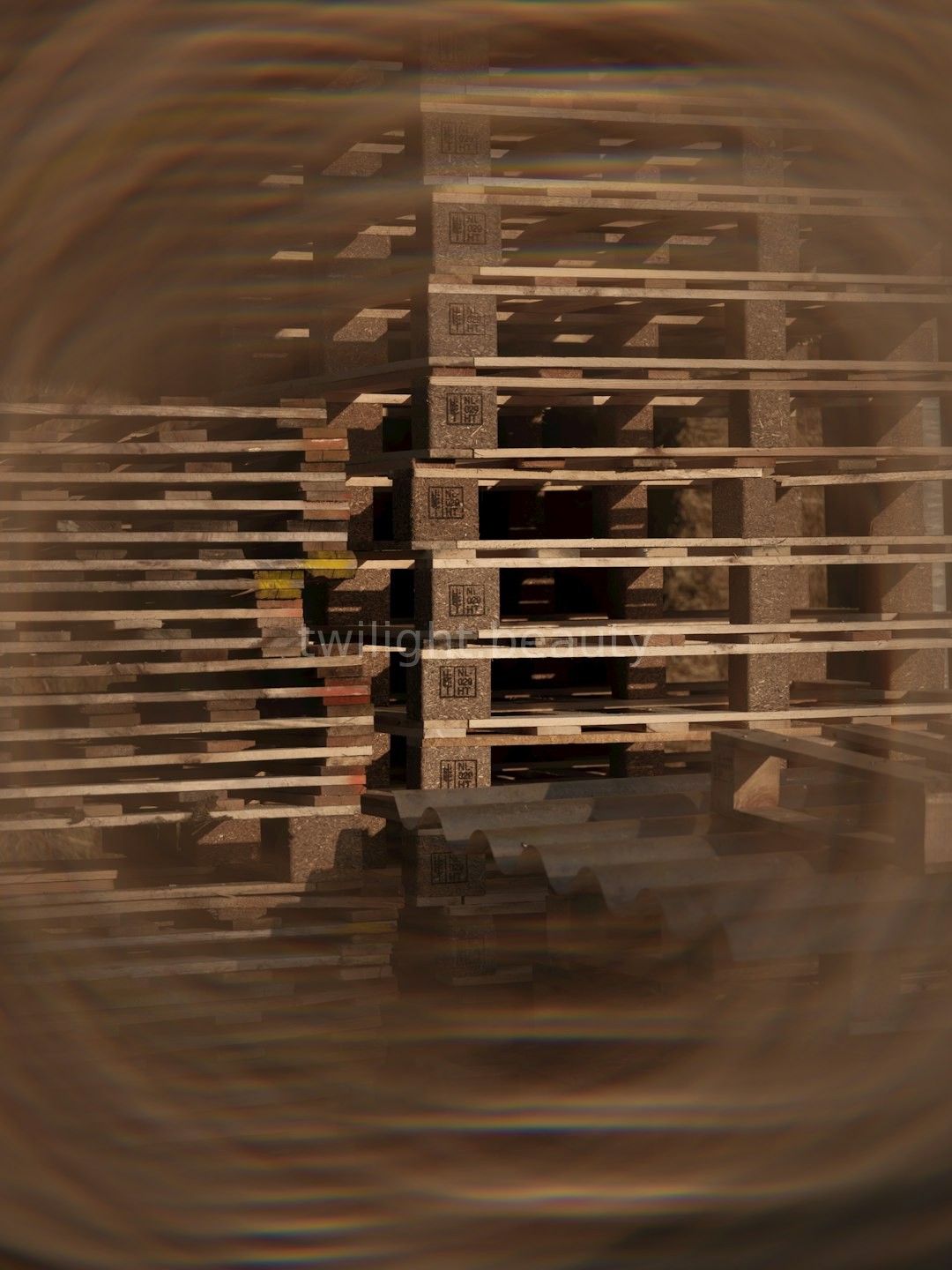 Reel 4