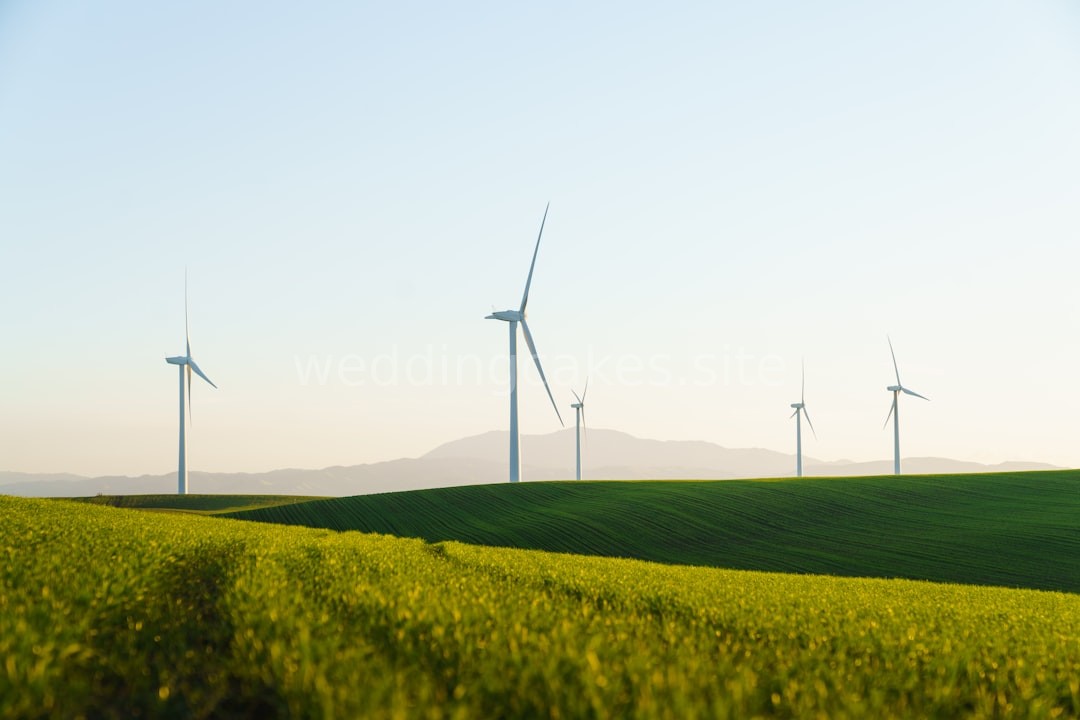 Wind Turbine Landscape