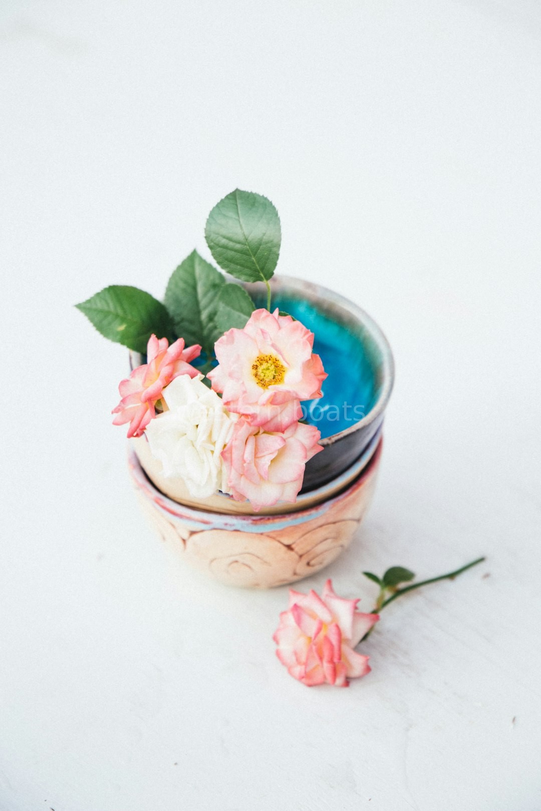Premium Dinnerware