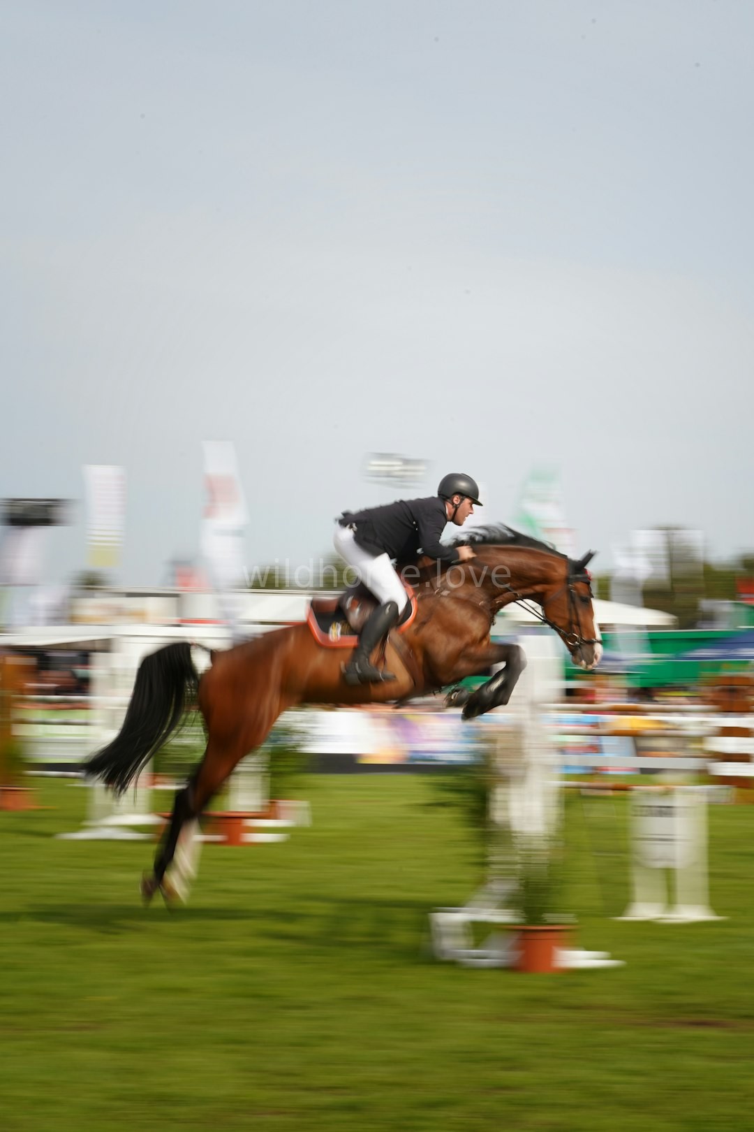 Equestrian Hero