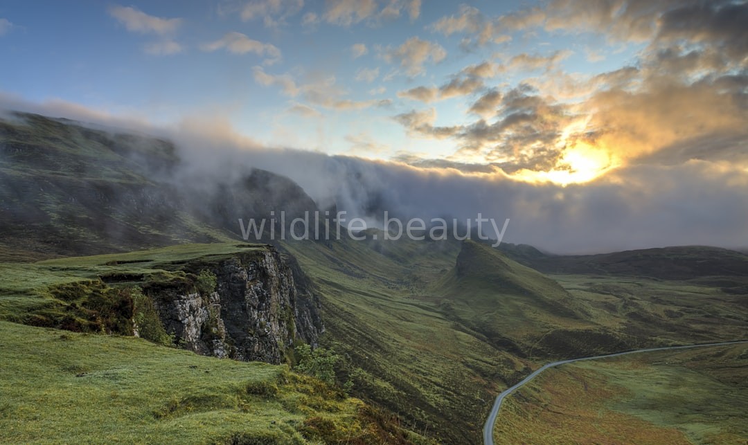 Natural landscape