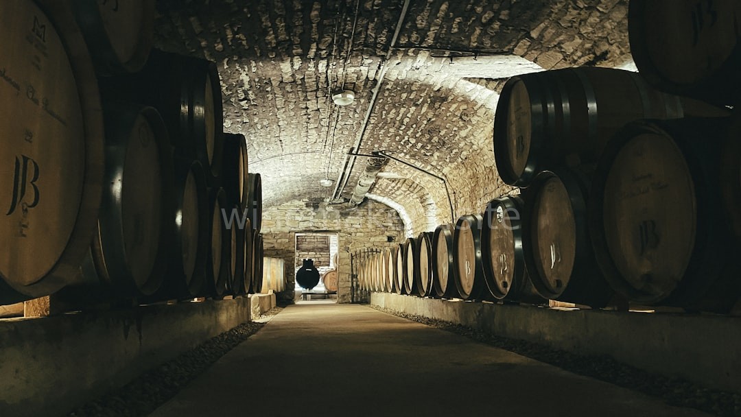 Wine Cellar Hero