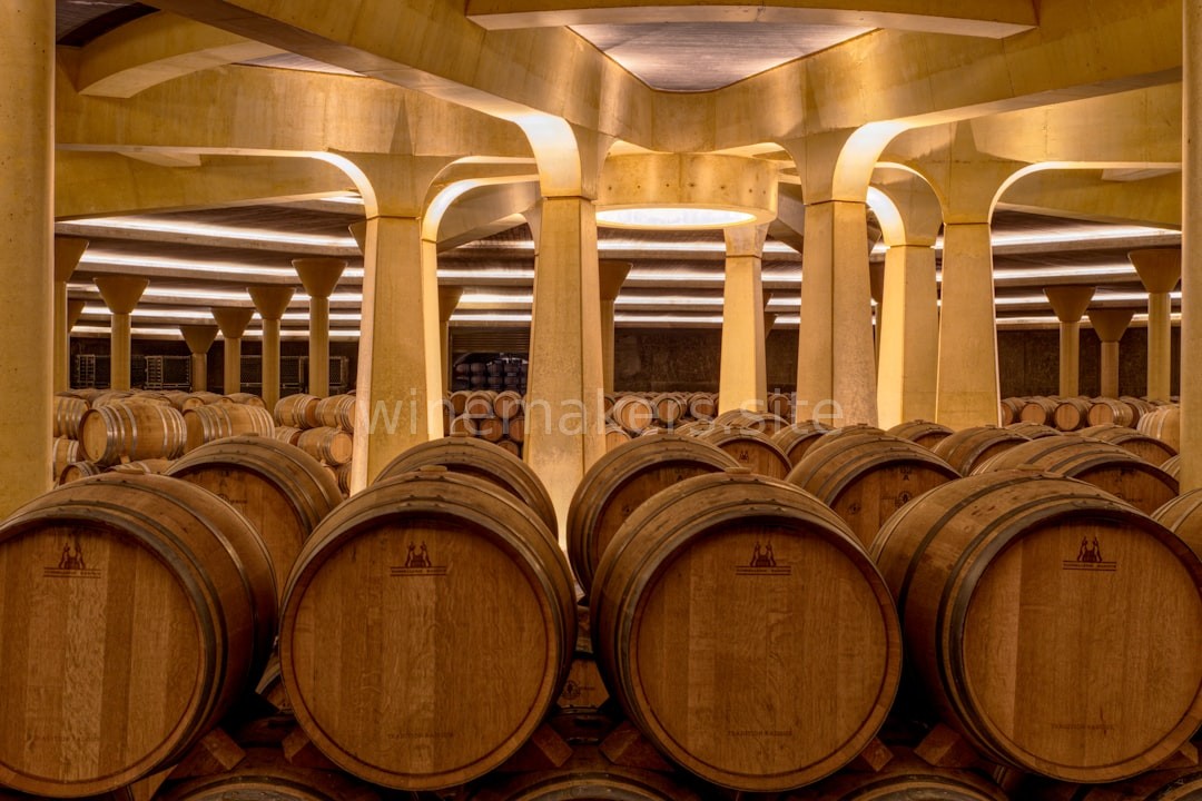 Luxury Wine Cellar