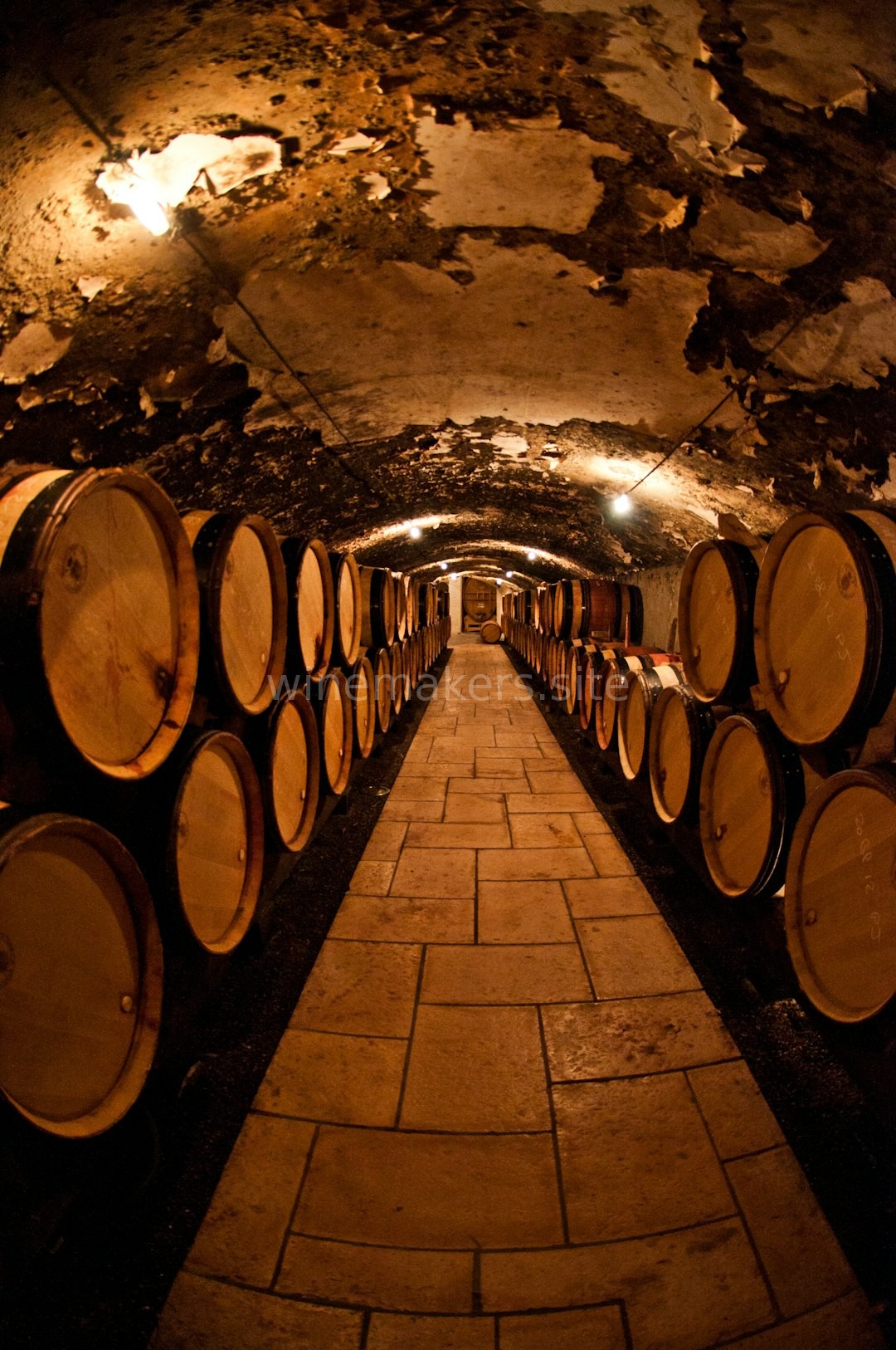 Cellar Management