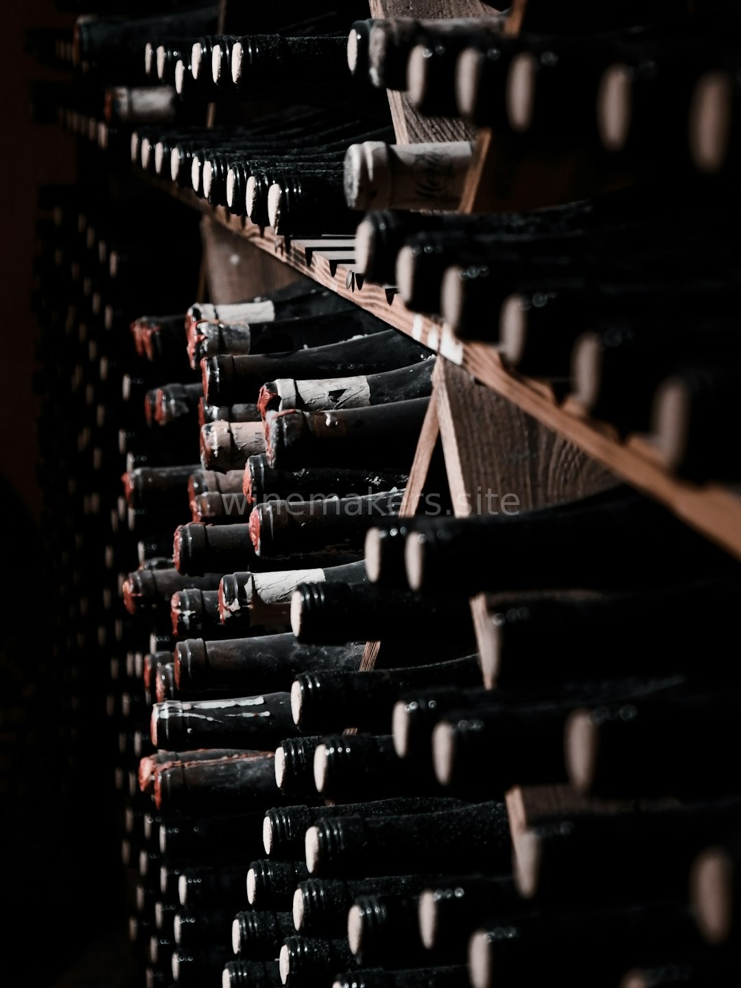 Merlot Pour