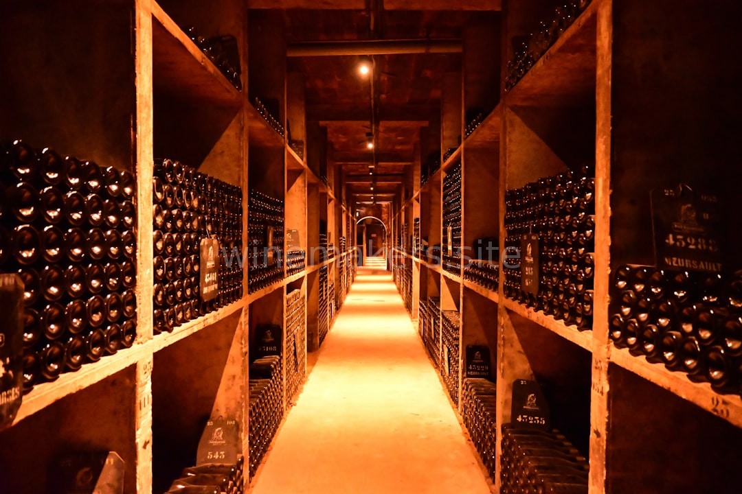 Cellar Design