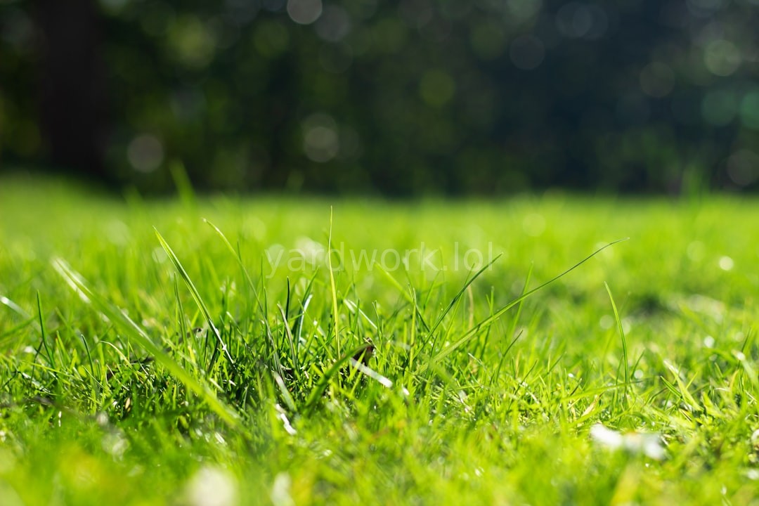 Precision Mowing