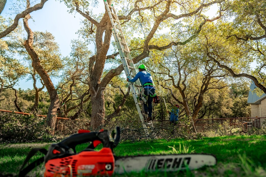 Tree Trimming Hero