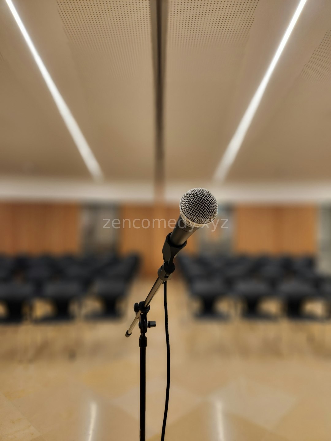 Speaker in action
